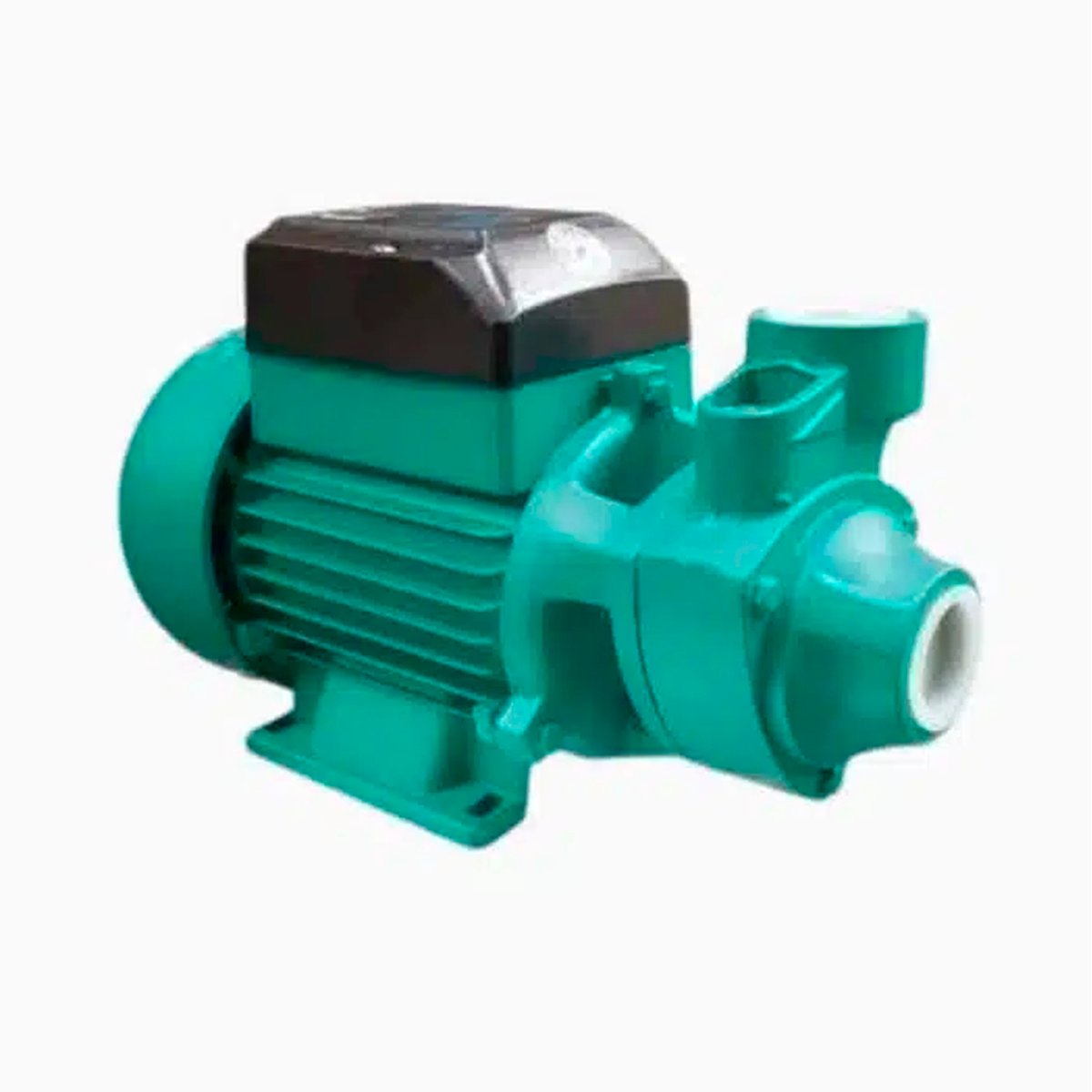 barnes-1.jpg BOMBA DE AGUA PERIFERICA 0.5HP 110/220V BE1 BARNES - Imagen 1